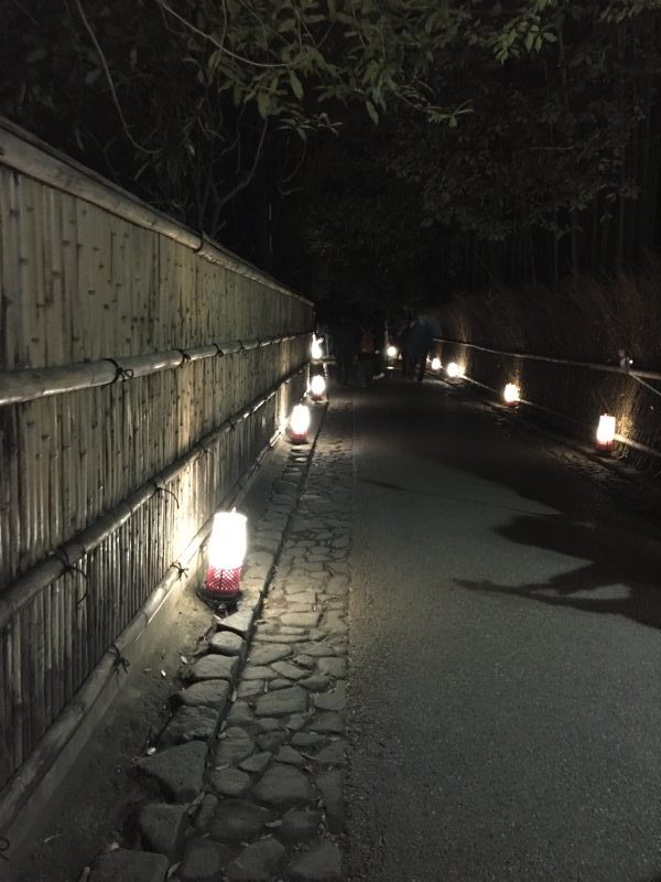 嵐山 亀山公園 灯籠の道
