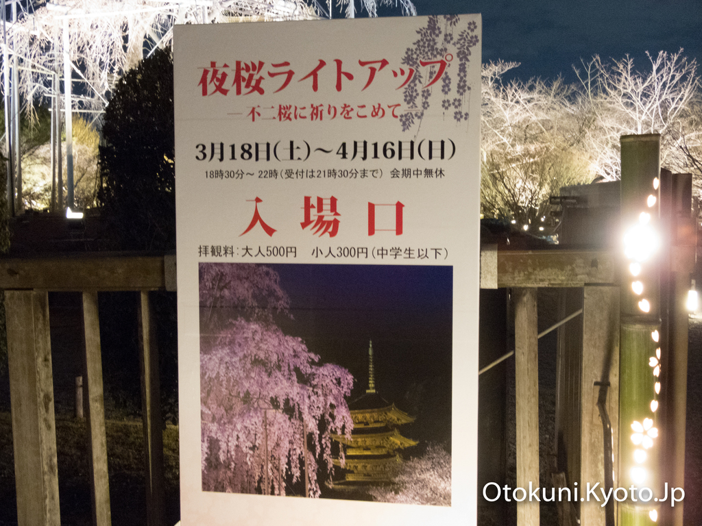 東寺 夜桜ライトアップ 2017